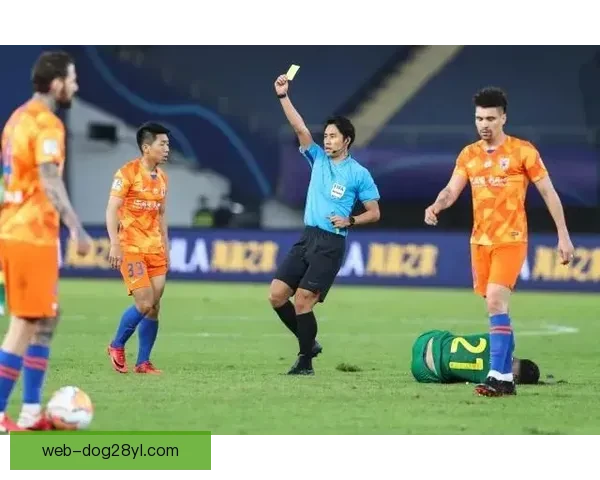 安莎社曝埃尔坎致电足协忧裁判